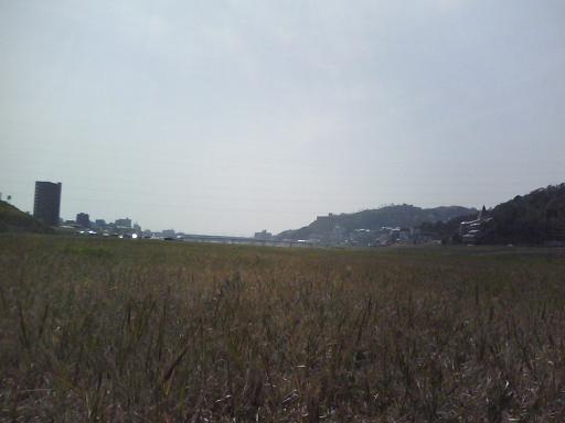 太田川放水路 左岸